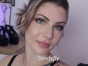 Sandyfly