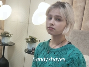 Sandyshayes