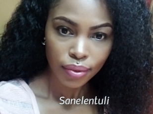 Sanelentuli
