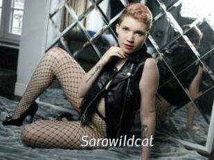 Sarawildcat