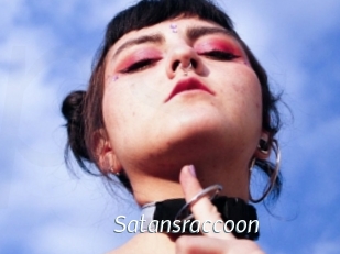 Satansraccoon