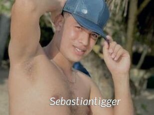 Sebastiantigger