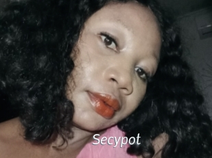 Secypot
