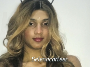 Selenacarteer
