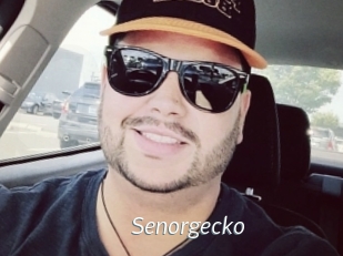 Senorgecko