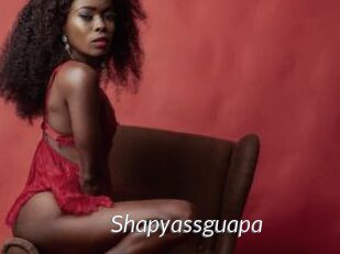 Shapyassguapa