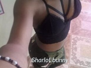 Sharlot_bunny