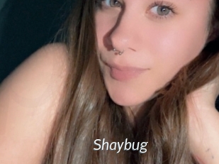 Shaybug