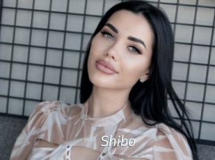 Shibo
