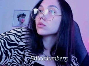 Silicialumberg