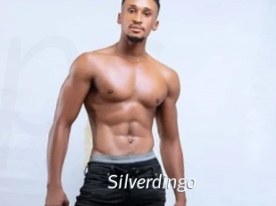 Silverdingo