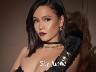 Sky_junne