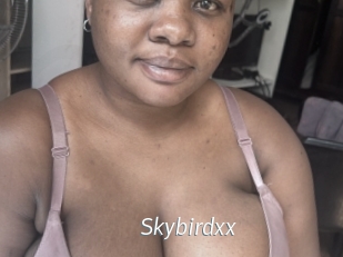 Skybirdxx