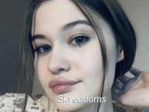 Skyeadams