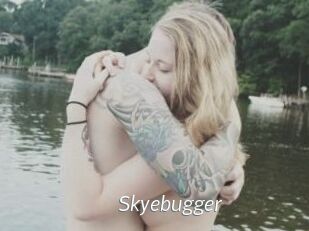 Skyebugger