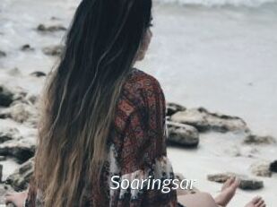 Soaringsar