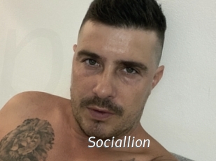 Sociallion