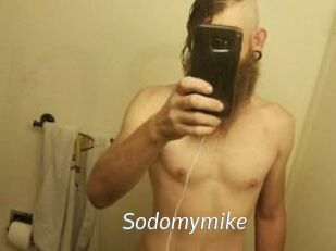Sodomymike