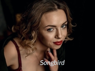 songbird Porn Star