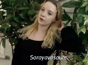 Sorayavasaure