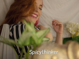 Spicythinker