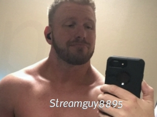 Streamguy8895