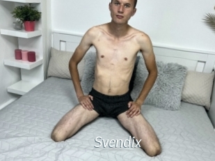 Svendix