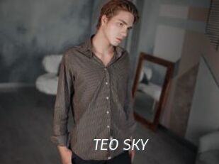 TEO_SKY
