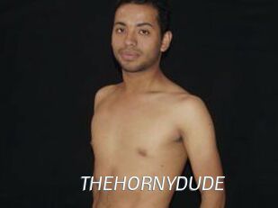 THEHORNYDUDE