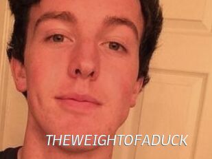 THEWEIGHTOFADUCK