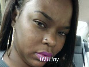 T_N_Ttiny