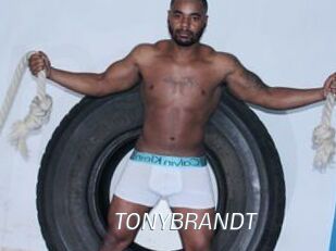 TONYBRANDT