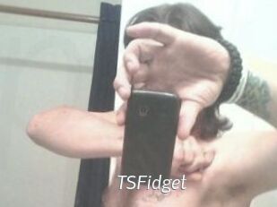 TSFidget
