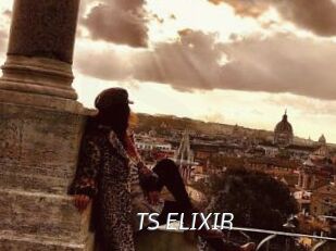 TS_ELIXIR