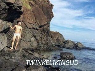 TWINKELIKINGUD