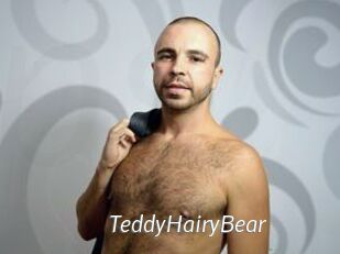 TeddyHairyBear