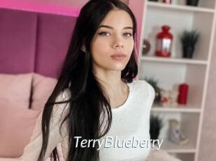 TerryBlueberry