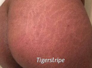 Tigerstripe