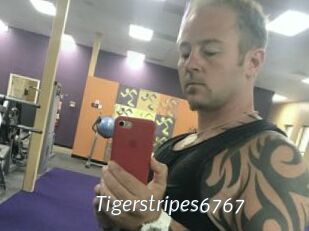 Tigerstripes6767