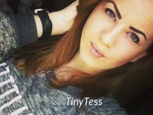 TinyTess