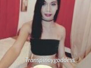 Transpinaygoddess