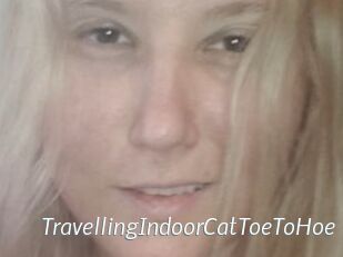 TravellingIndoorCatToeToHoe