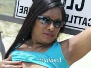 Triniheat