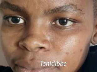 Tshidibbe