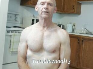 Tumbleweed13