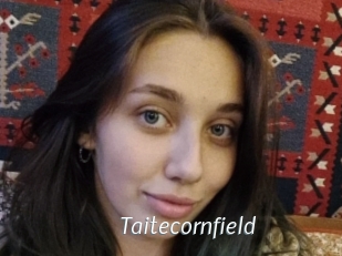 Taitecornfield