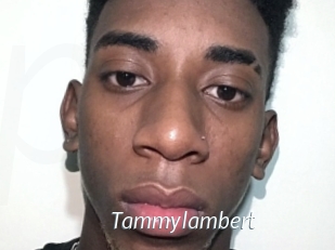 Tammylambert
