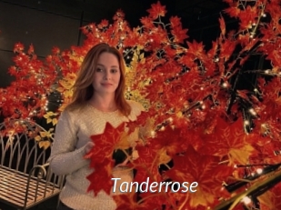 Tanderrose