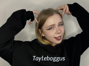 Tayteboggus