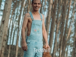 Teddhill